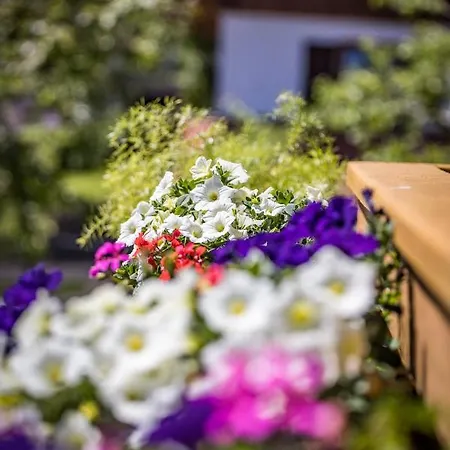 Gimpl Guest house Siegsdorf
