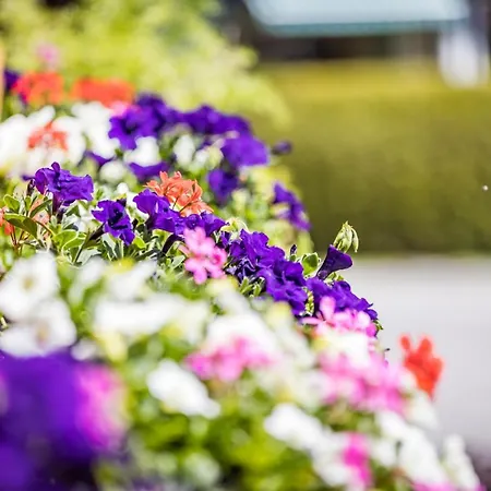 Gimpl, Chiemgaukarte Neu Gasthuis